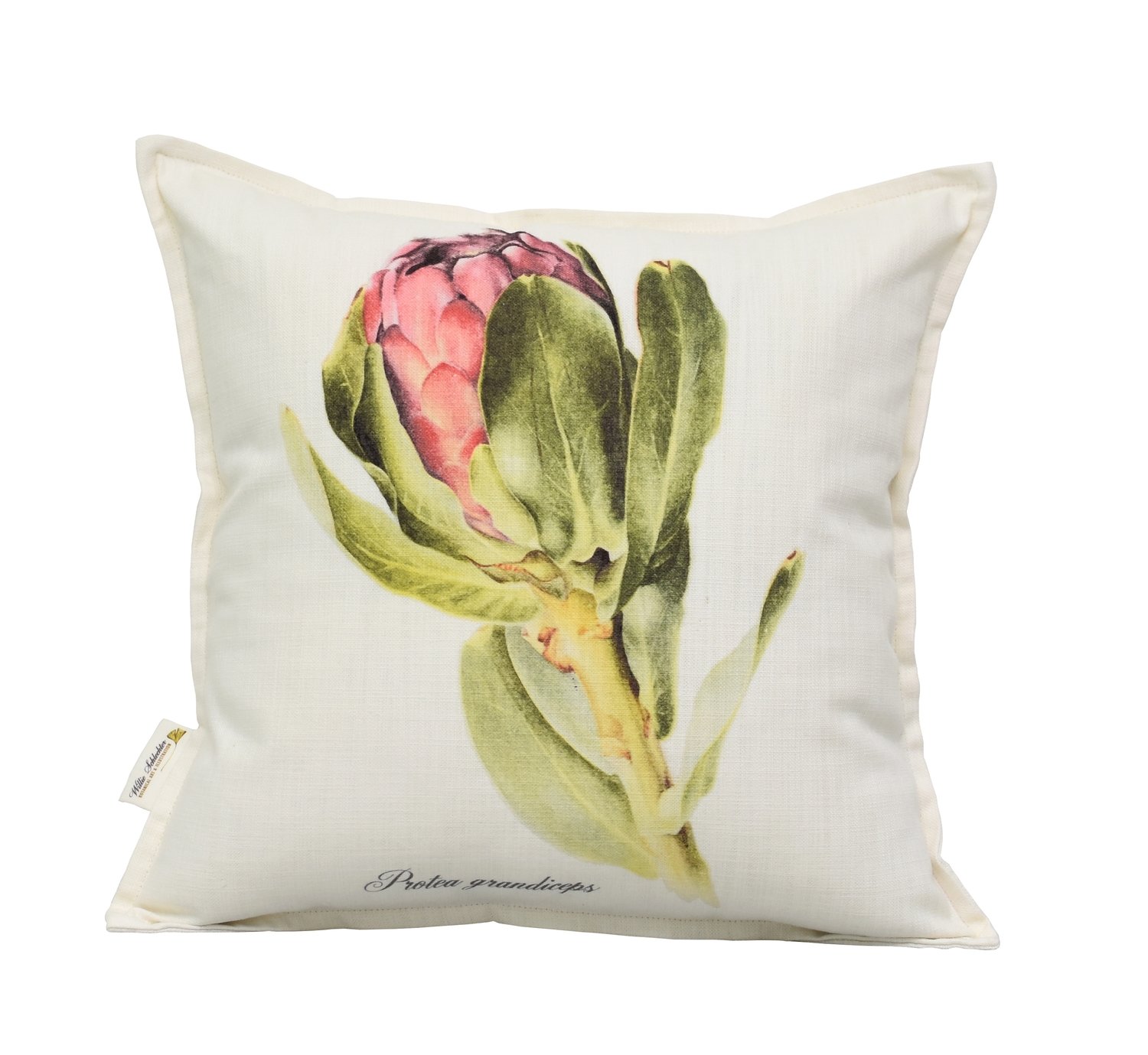 Protea grandiceps Scatter Cushion