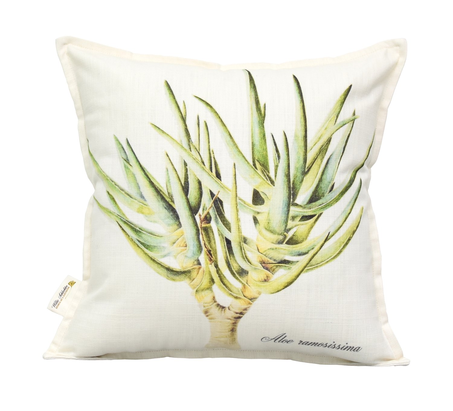 Aloe ramosissima Scatter Cushion