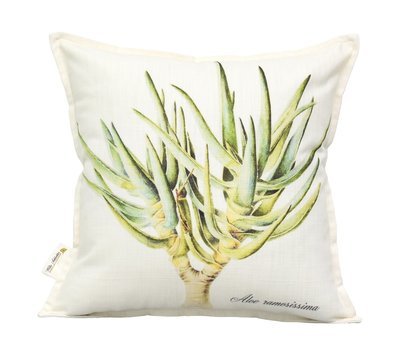 Aloe ramosissima Scatter Cushion