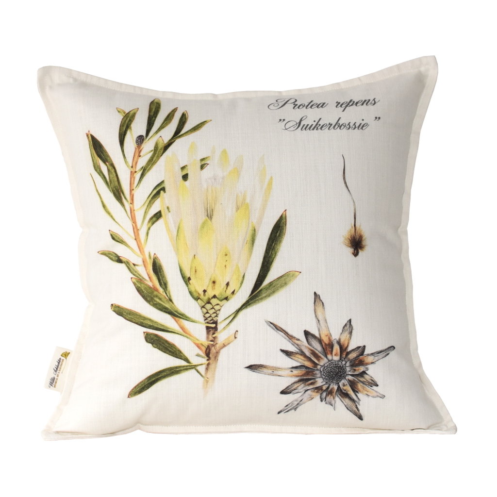 Protea Suikerbossie Scatter Cushion