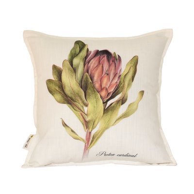 Protea cardinal Scatter Cushion