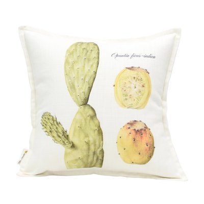Opuntia ficus-indica2 Scatter Cushion
