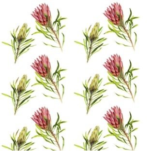Repens Cotton Fabric