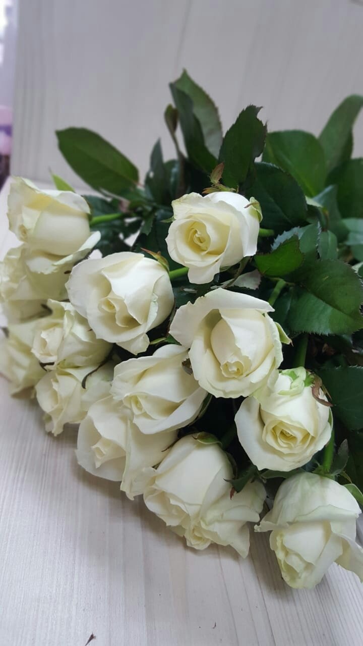 17 белых роз