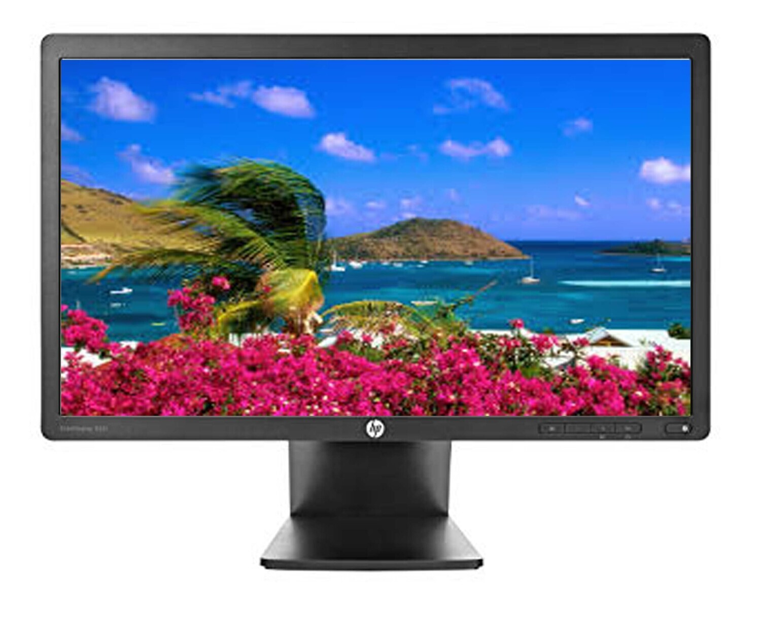 HP EliteDisplay E221 21.5" 1920 x 1080 Widescreen LED Backlit LCD Monitor