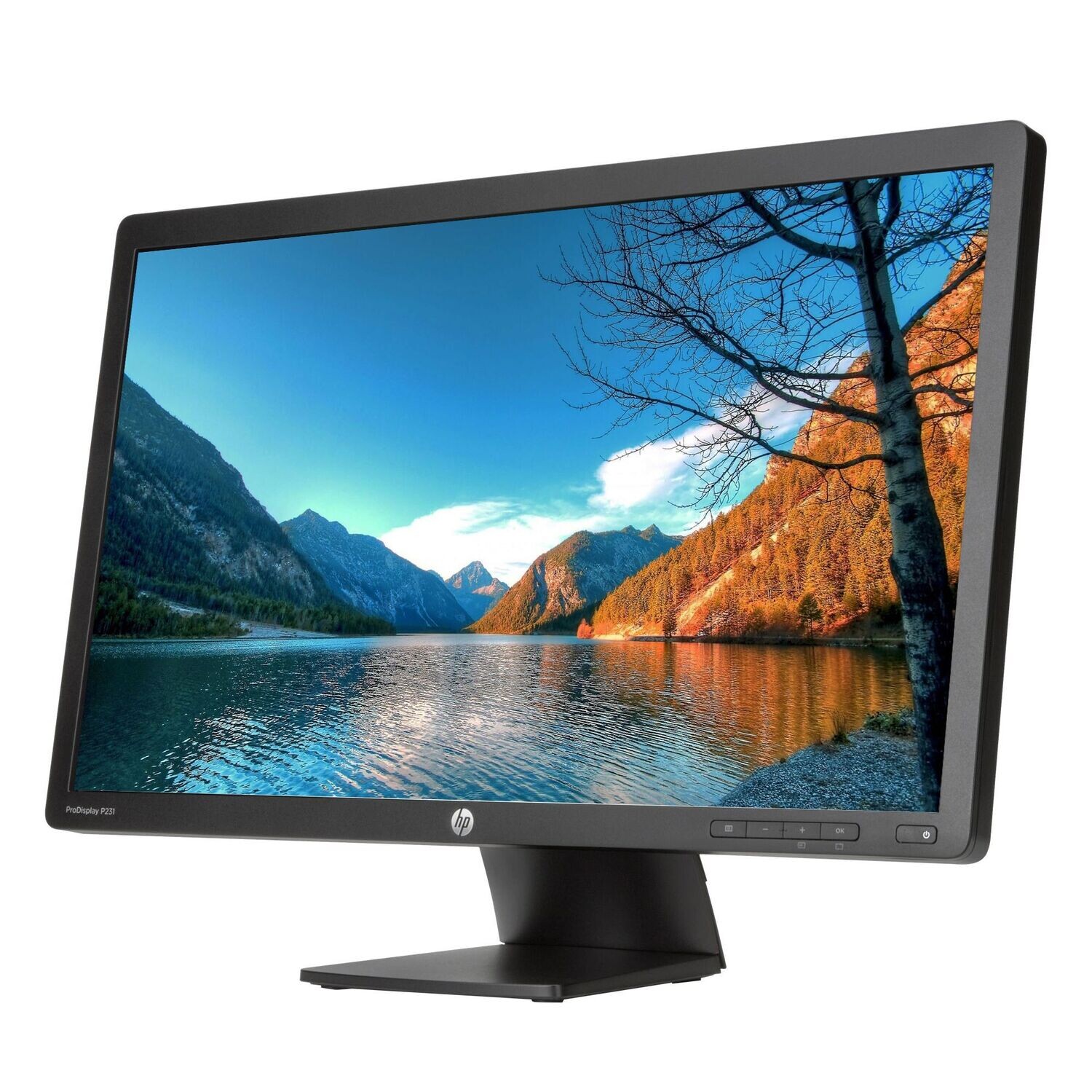 HP ProDisplay P231 23" Widescreen Black LED Full HD Monitor