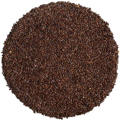 Paan Corner - Alsi Slow Roasted