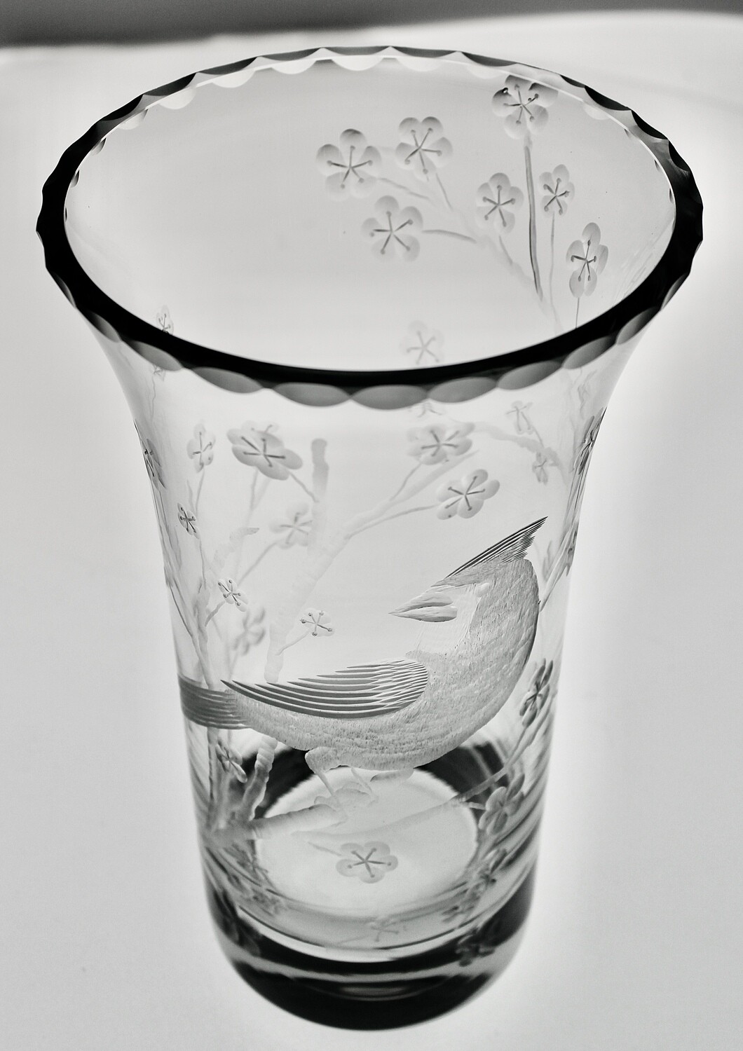 Cardinal and Branches