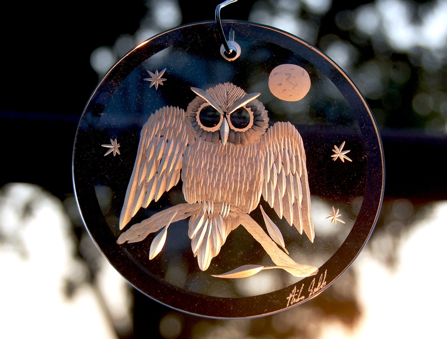 Bird of Prey