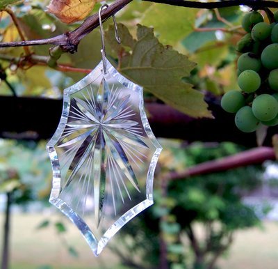 Holly Starburst