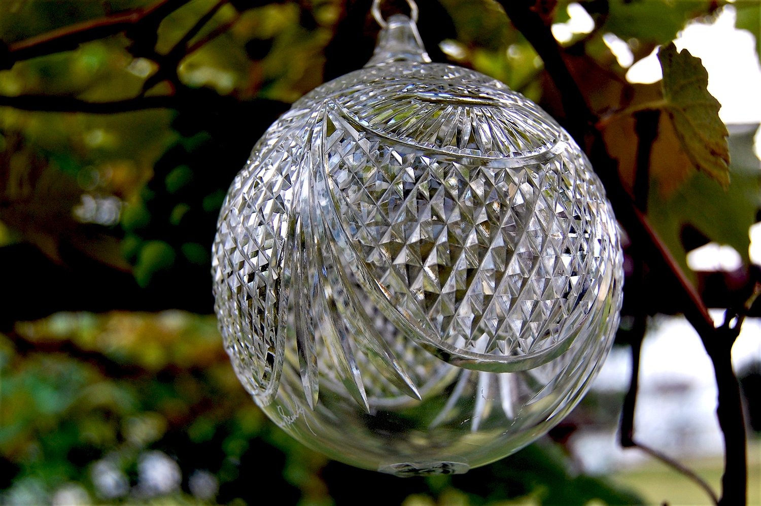 Festoon Ornament