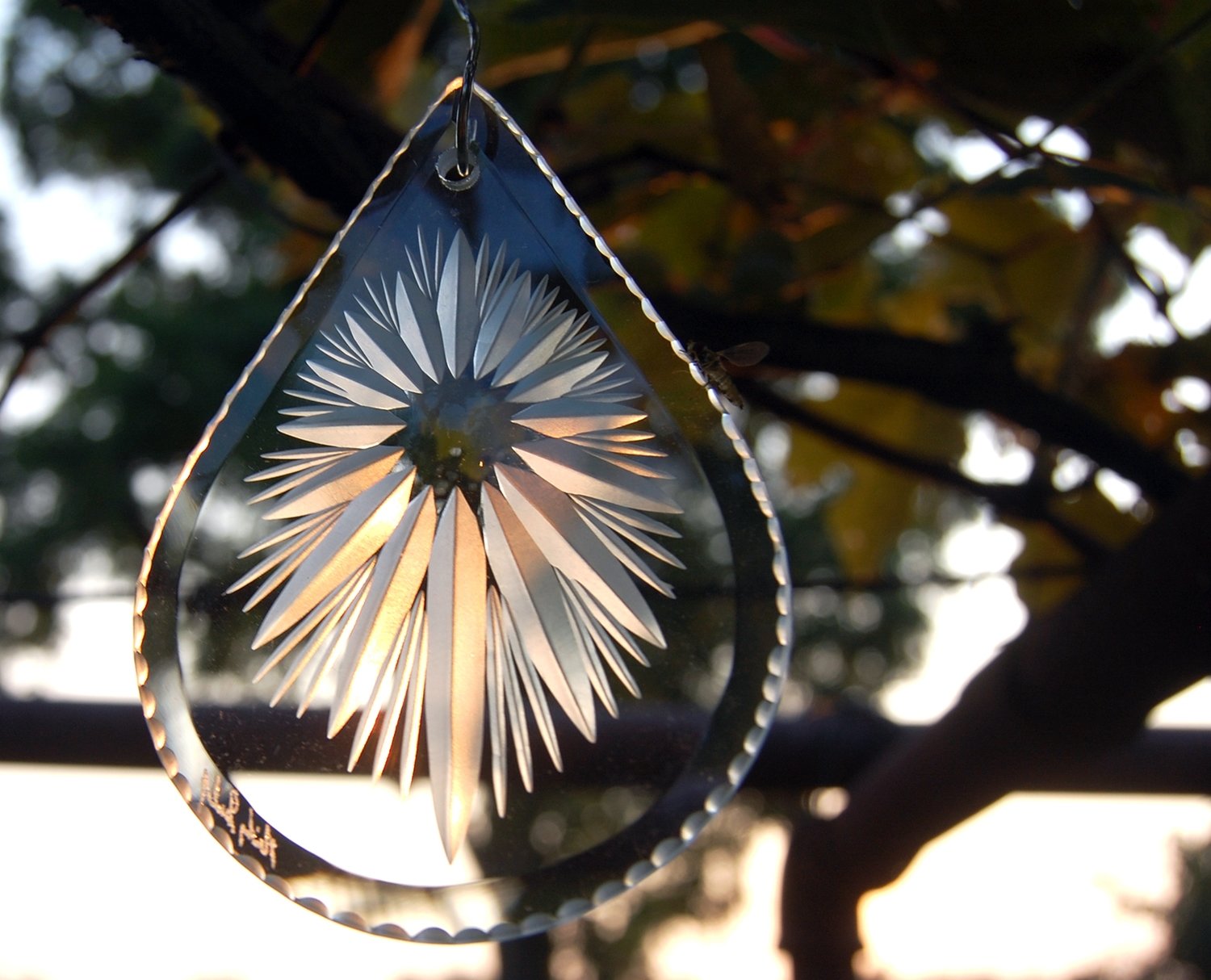 Teardrop Starburst