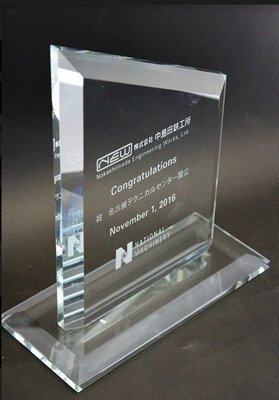 The Rise Award