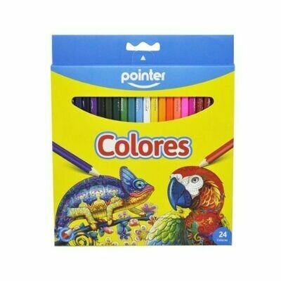 Lapices de Colores Largos Pointer 24/1