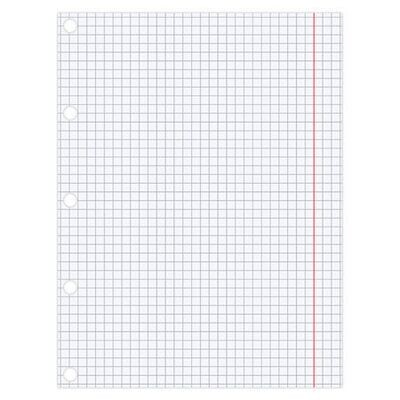 Hojas Cuadriculadas Blanca 100/1