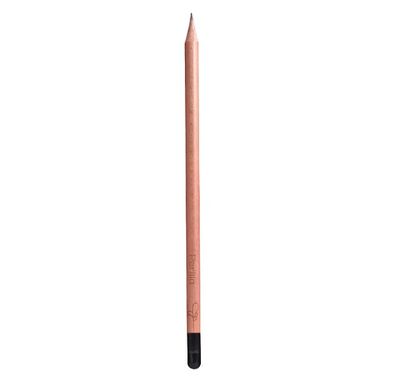 Lapices ecologicos (plantables)