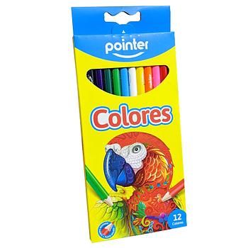 Lapices de Colores Largos  12/1 Pointer