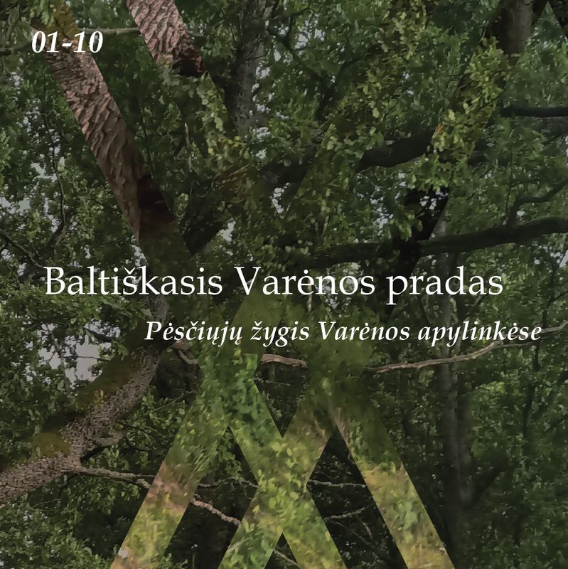 Baltiškasis Varėnos pradas. Bilietas į žygį 01-10