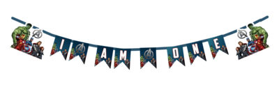 Avengers I am One Bunting Banner