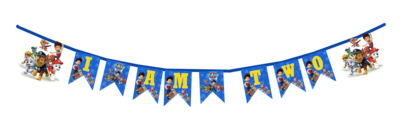 Paw Patrol I am Two Bunting Banner