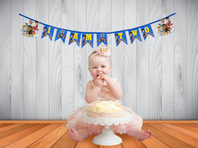 Paw Patrol I am Two Bunting Banner