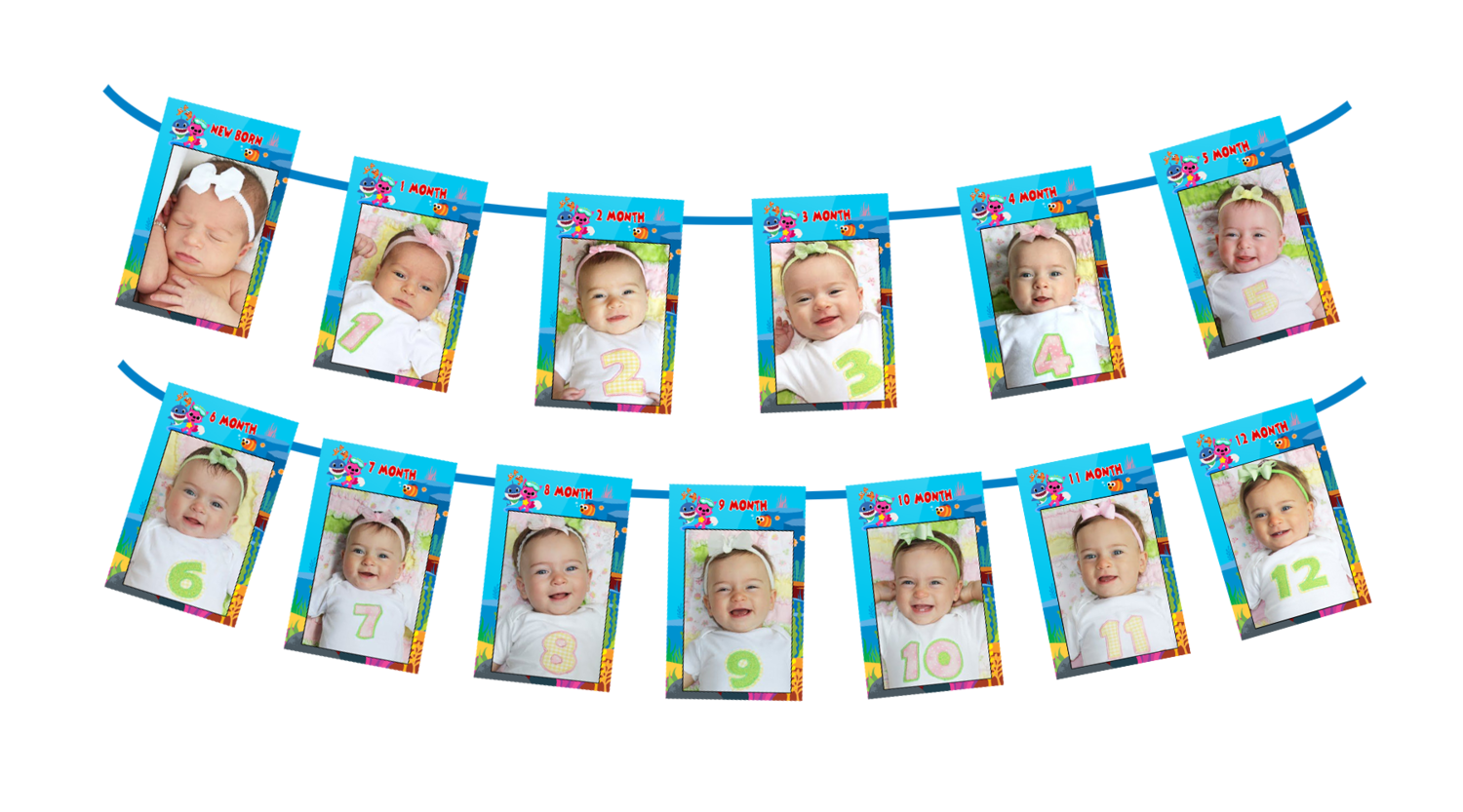 Baby Shark Theme - Monthly Photo Banner