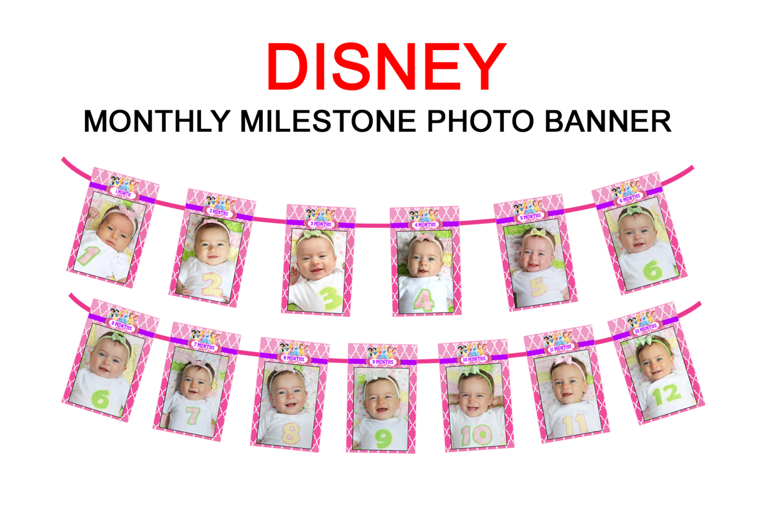 Disney Princess Theme - Monthly Photo Banner