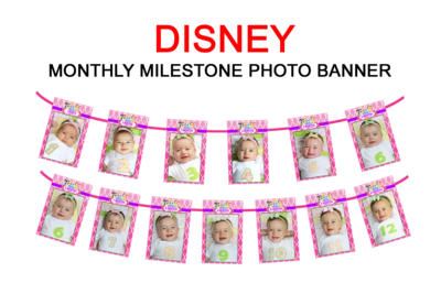 Disney Princess Theme - Monthly Photo Banner