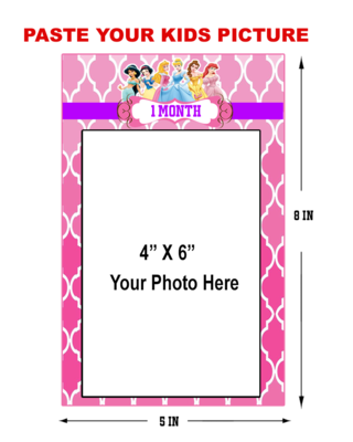 Disney Princess Theme - Monthly Photo Banner
