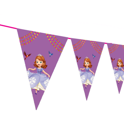 Sofia - pennant / Flag Bunting Banner (10ft)