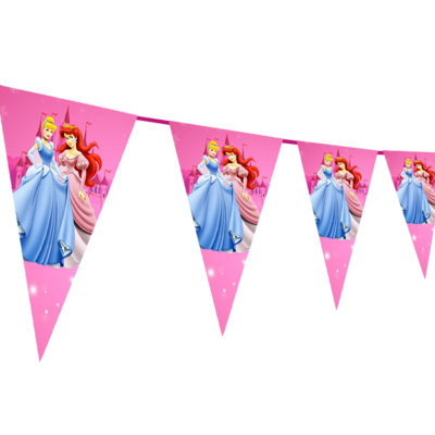 Disney Princess - pennant / Flag Bunting Banner (10ft)