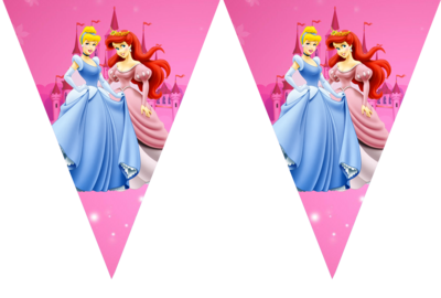 Disney Princess - pennant / Flag Bunting Banner (10ft)