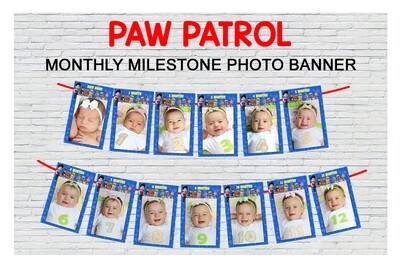 Paw Patrol Theme - Monthly Photo Banner