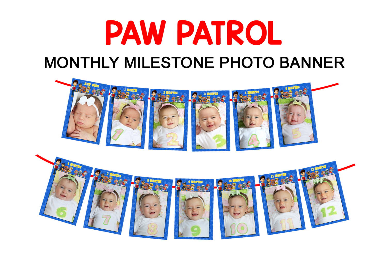 Paw Patrol Theme - Monthly Photo Banner