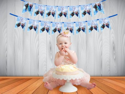 Frozen Elsa  Theme - Bunting Banner (Non - Personalized) #2