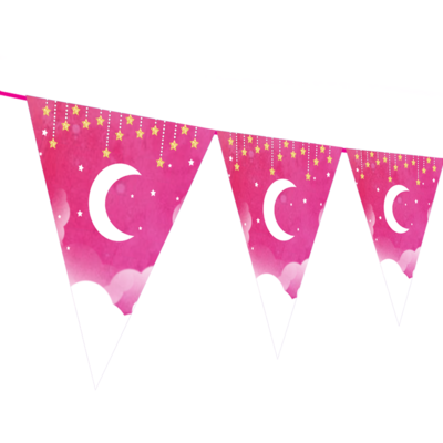 Twinkle Star-Girl - pennant / Flag Bunting Banner (10ft)