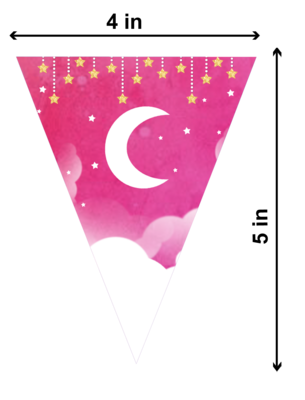 Twinkle Star Pink Theme Pennant / Flag Bunting Banner (10ft)