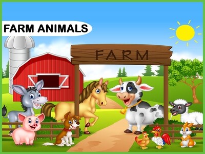 Farm Animals / Barnyard