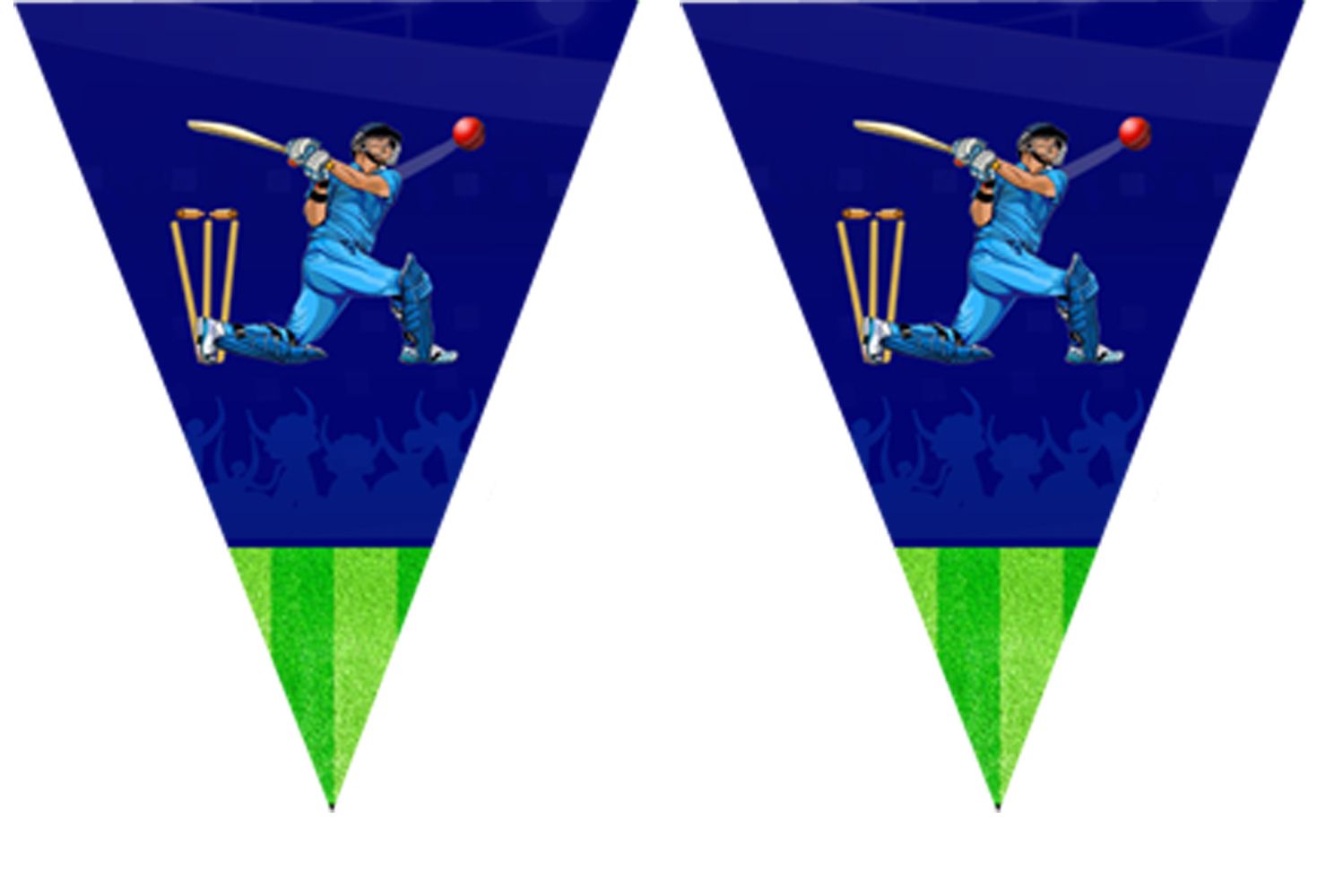 Cricket - Pennant / Flag Bunting Banner (10ft)