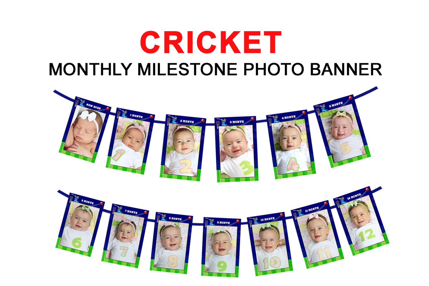 Cricket Theme - Monthly Photo Banner