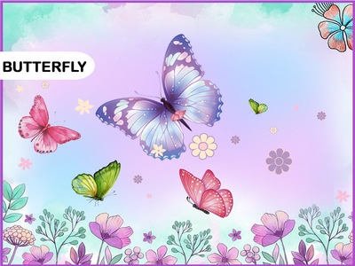 Butterfly