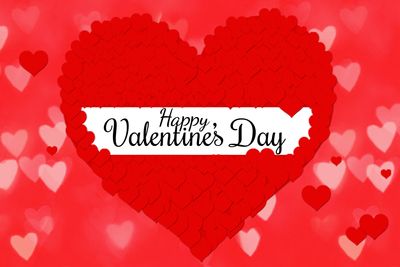 Valentine&#39;s Day Theme Backdrop / Background Banner (4ft x 5ft)