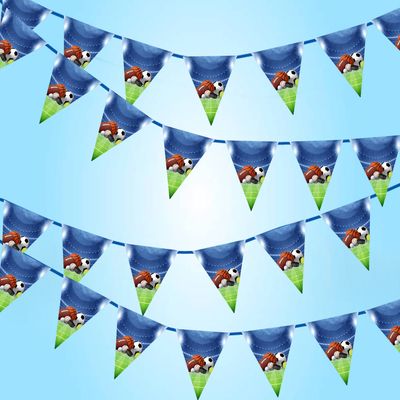 Theme Flag Banner