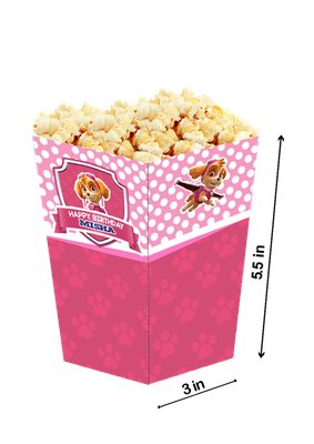 Pink Paw Patrol Popcorn Boxes (10 Pcs)