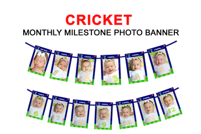 Cricket Theme - Monthly Photo Banner