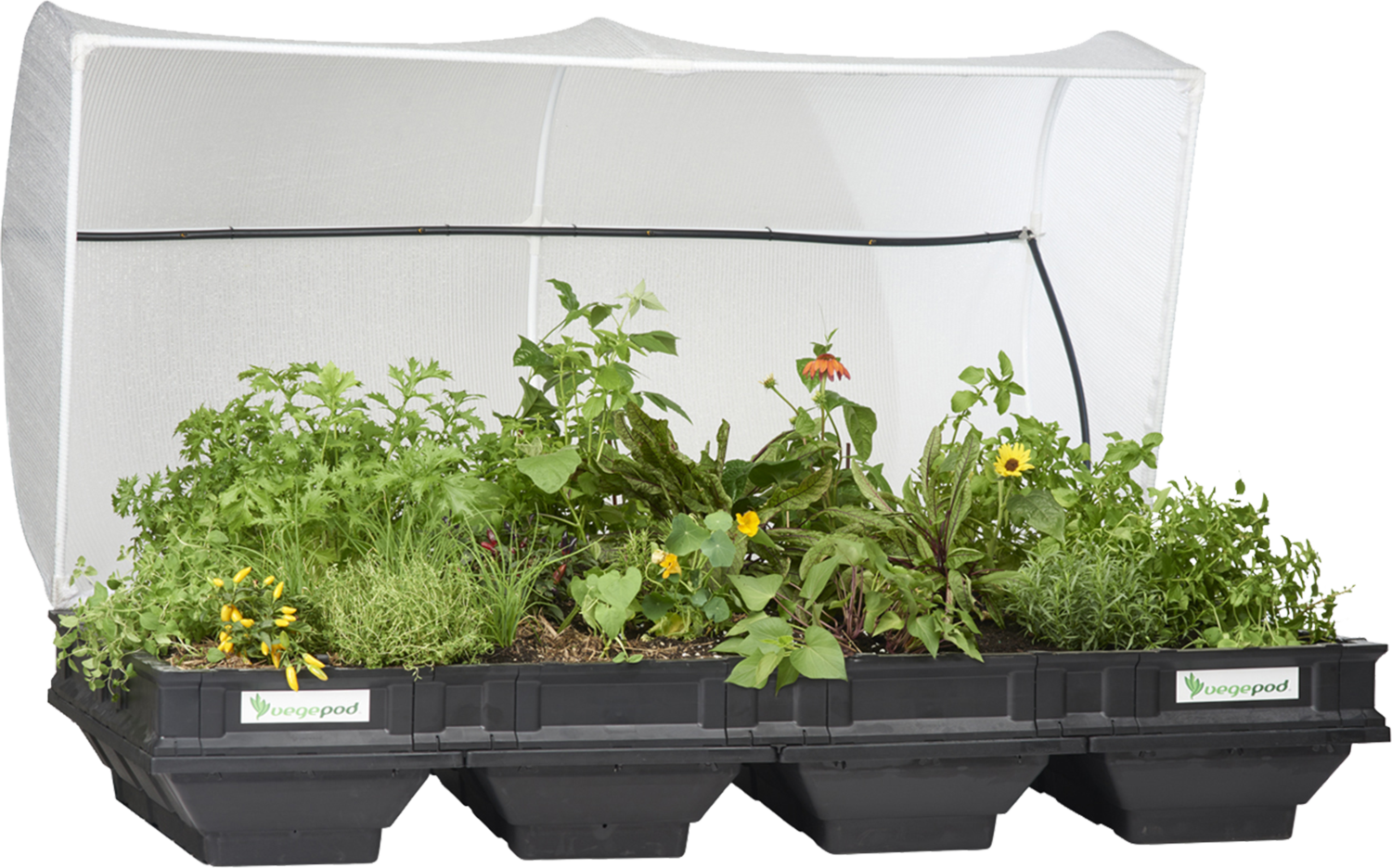Large Raised Garden Bed - Vegepod