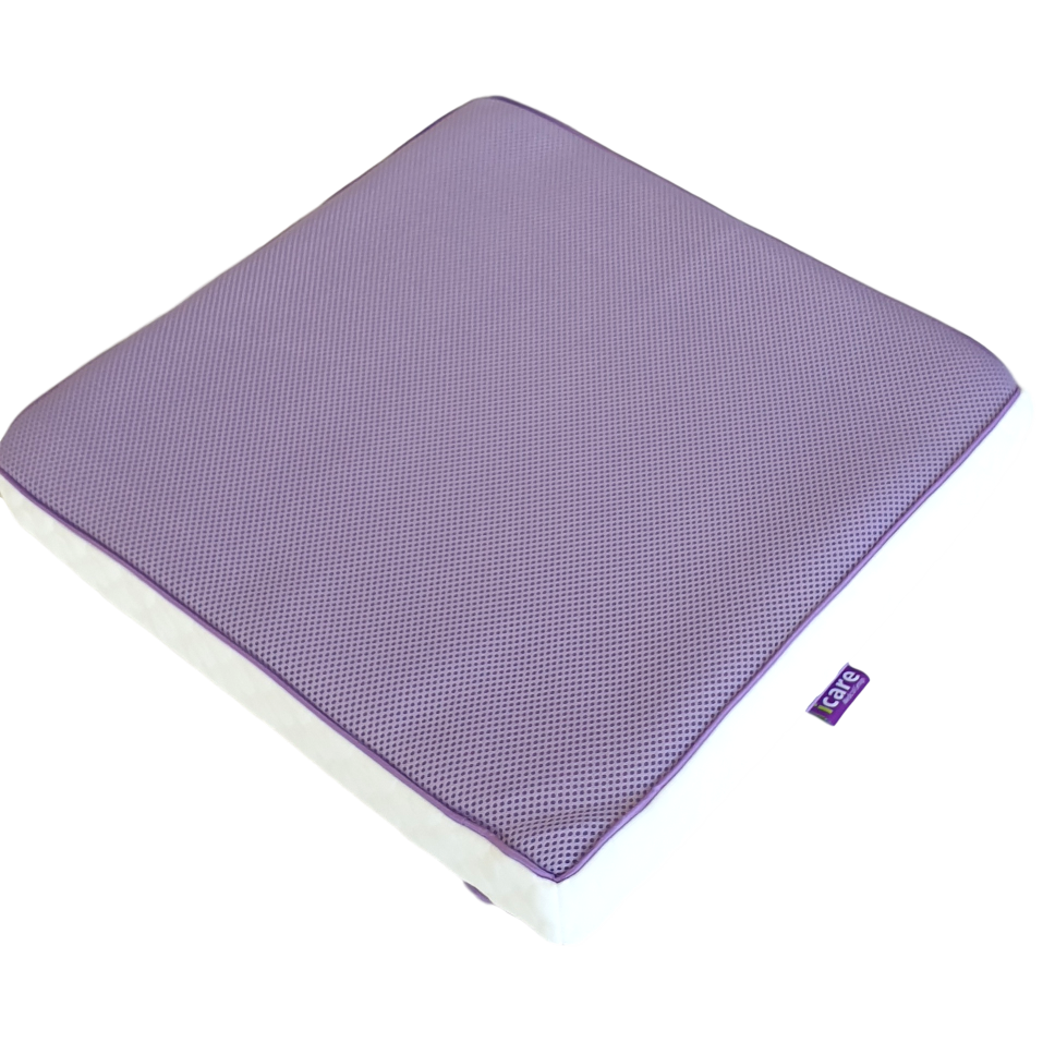 iCare 5cm Seat Cushion