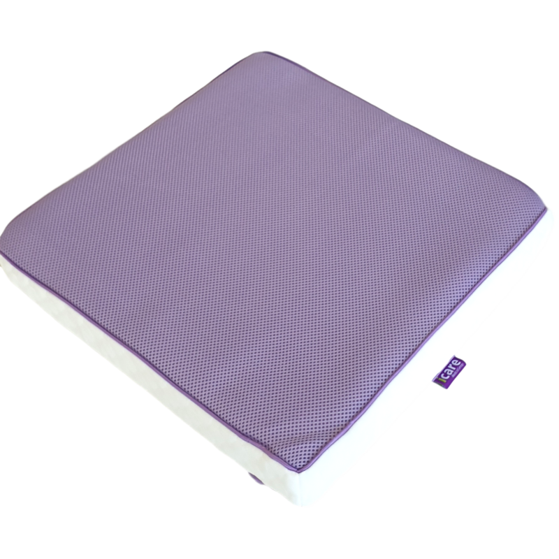 iCare 5cm Seat Cushion