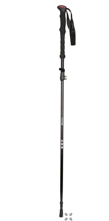 Active Cane