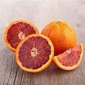 Orange Tree Blood Orange Advanced